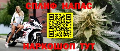 прущие грибы Волжск