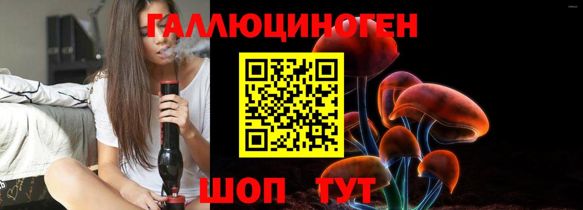 Борисоглебск  Псилоцибиновые грибы GOLDEN TEACHER  Вход с VPN 