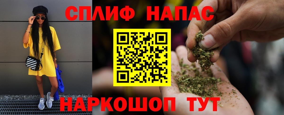 Каннабис сатива Борисоглебск